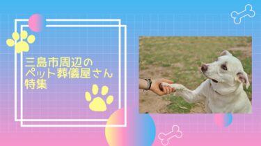 三島市周辺のペット葬儀屋さん特集！