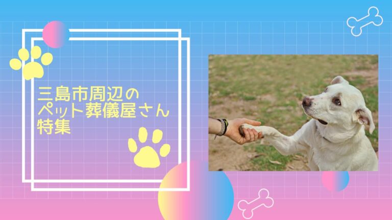 三島市周辺のペット葬儀屋さん特集！